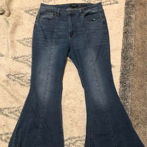 Judy Blue Plus Size Jeans